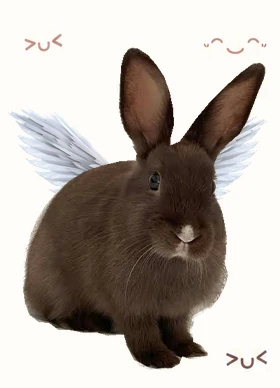 A little dark brown bunny with white angel wings and kawaii faces.